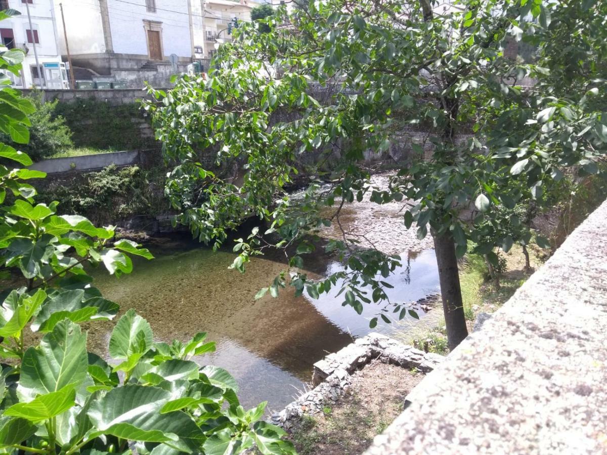 Casa D.Dinis Villa Vide Eksteriør bilde